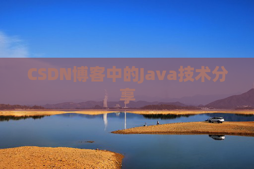 CSDN博客中的Java技术分享